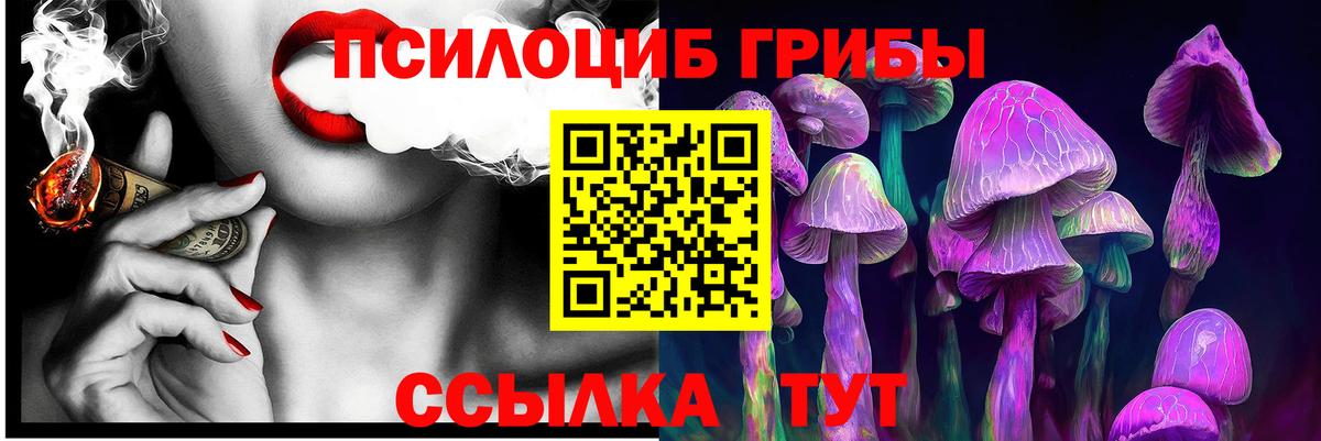 Каменка  Галлюциногенные грибы мицелий  Вход с VPN  сколько стоит  Галлюциногенные грибы MAGIC MUSHROOMS 